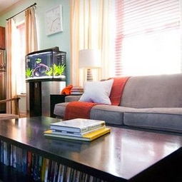 濟南裝修建材選購指南 靠譜渠道與實用建議