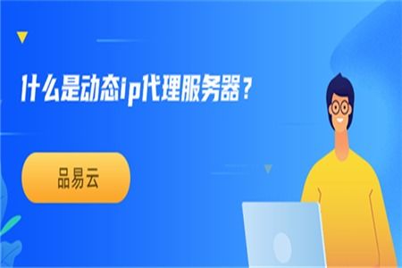 動態IP代理服務器與票務代理服務 概念、應用與差異解析